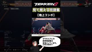 【鉄拳8】見て覚える用語集【地上コンボ】
