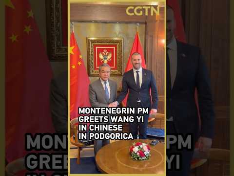 Montenegrin PM greets Wang Yi in Chinese in Podgorica