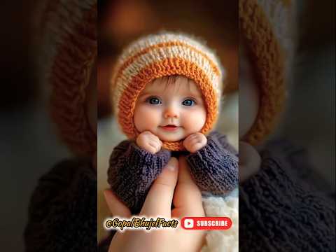 Cute Maxica Plush Dancing Cactus Electric Plush Toy Auto 😂🥰 #funnyshorts #cute #shortsviral