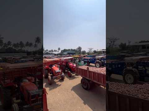 मार्केट..🤩#Kisan #tractor #trending