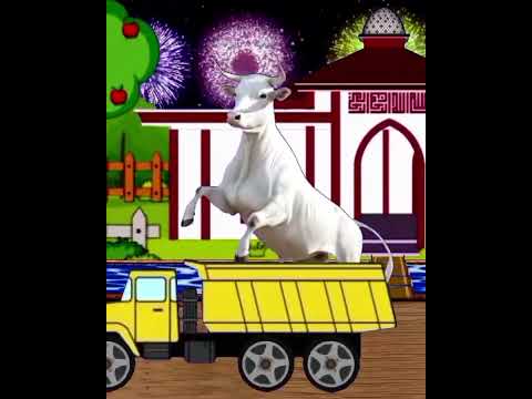 Parade takbiran keliling malam idul adha 2025 ada sapi kurban #allahuakbar #fyp  #takbiran