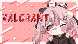 【VALORANT】APEXがくがくからの深夜のVALORANT・・・🌸 #千依観察中