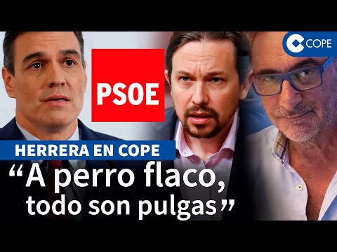 Herrera lanza una advertencia a Sánchez y el futuro del PSOE: «Le puede pasar lo mismo»