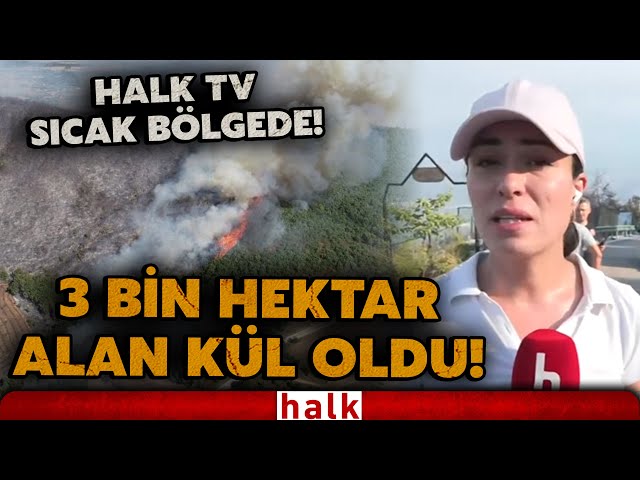 Bursa'da Orhaneli'nde yangın kontrol altında! Bölgedeki sıcak gelişmeleri Halk TV ekibi aktardı!