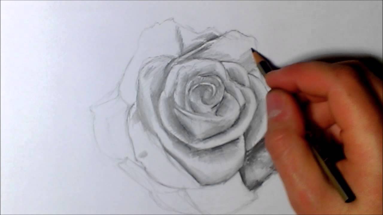 Jak narysować różę? (rose speed drawing) - YouTube