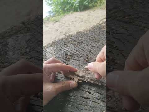 Camping Tips 💯 #outdoors #camper #survival #shorts #camping