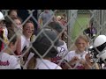 Backflipping Umpire Becomes A Hit At Softball Games In Minnesota  - 02:01 min - News - Video