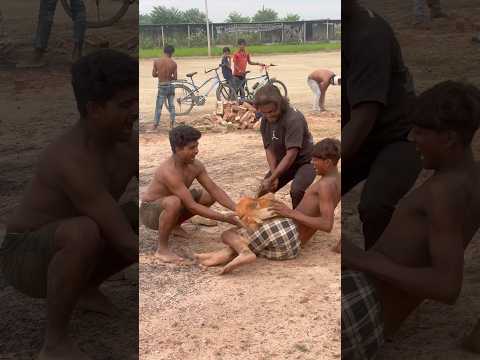 #new gHar jala #hai #video #naya kiya bigra tera #viral #video #trending #song #youtubeshorts