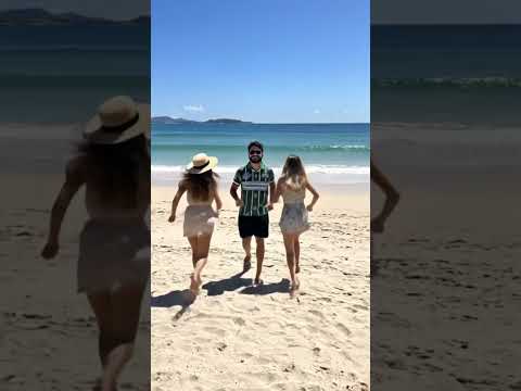 Dinossauro sabia dessa?