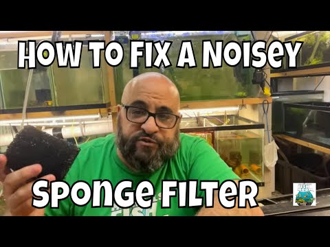 How to Fix a Noisy Sponge Filter Shop The COLDEST Espressos! Use code_ “coffee” for 10% off at COLDEST.com.
👉🏼Check out my 