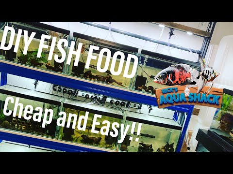 DIY PLECO FOOD! (Cheap and easy!) In today’s video I’ll be making some pleco food, it’s a great way to save money and feed your 