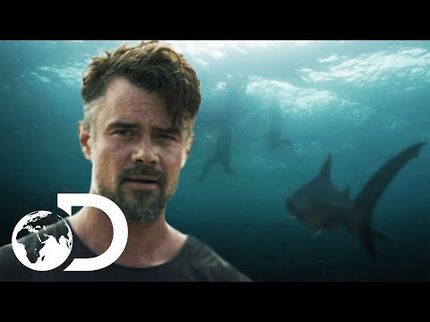 Capsized: Blood in the Water'