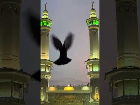 Jumma Mubarak #shortfeed #viral #ytshorts #ytviral #foryou