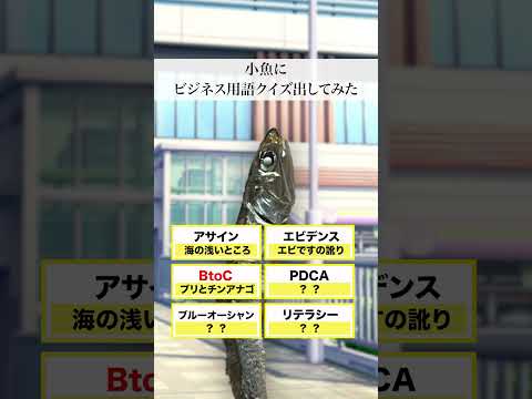 小魚界のビジネス用語✍ #ストリートクイズ #魚 #小魚