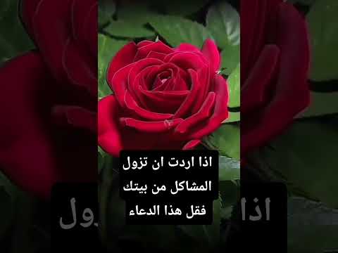 اذا اردت ان تزول المشاكل من بيتك فقل هذا الدعاء #قراقيش_فود #اكسبلور