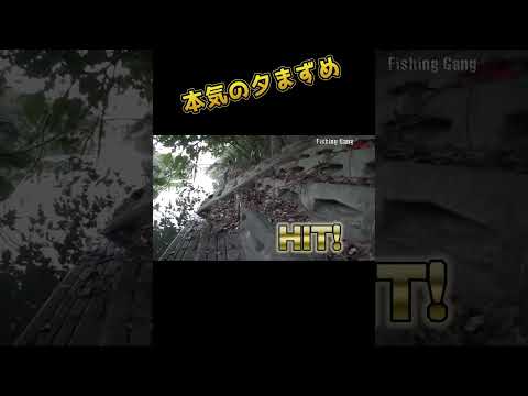本気の夕まずめ