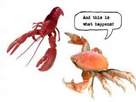 Honda element commercial with crab