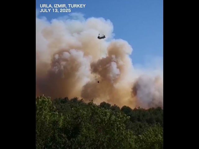 SCENE: Planes drop water on new wildfire in western Turkey