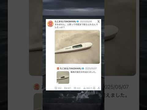 最悪の誕生日を迎えたゲーミング系YouTuber