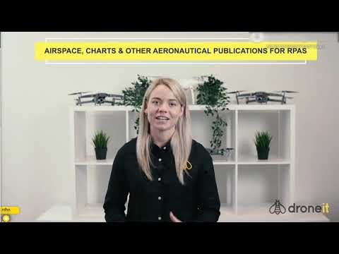 Droneit Group