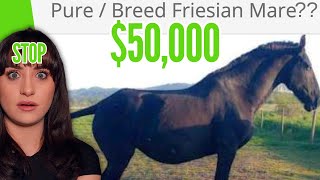 WHO'S BUYING THESE HORSES ???
