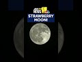 Strawberry moon over Maryland  - 00:40 min - News - Video
