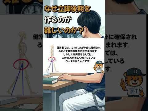 なぜ立脚後期を作るのが難しいのか?#理学療法士