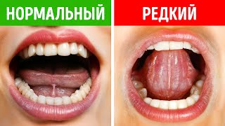 200+ фактов обо всём на свете, которые не дадут вам скучать