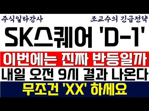 [<strong>SK스퀘어</strong> 주가전망 이번에는 진짜 반등일까?! 내일 오전 9시 결과 나옵니다! 무조건 'XX' 하세요