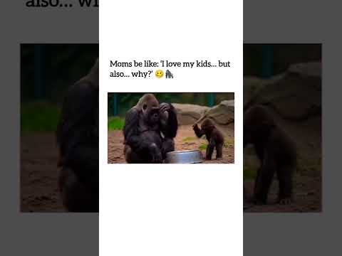 Proof that parenting chaos transcends species and sanity alike 😂🙈