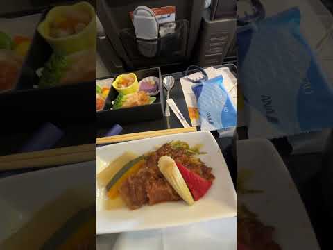 ANA機内食✈️lunch 2025-10-30