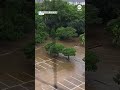 Texas driver gets stuck in floodwater as onlookers scream  - 00:53 min - News - Video
