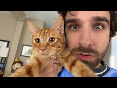 LETS TALK ABOUT IT ALL...