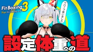 【フィットボクシング3】スタジオ級お家3Dで運動配信｜63.5kg→設定体重46kgへの道【猫元パト / #VTuber】