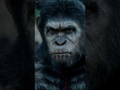 Dawn of the planet of the apes | one of the best CGI film ever #dawnoftheplanetoftheapes #movie