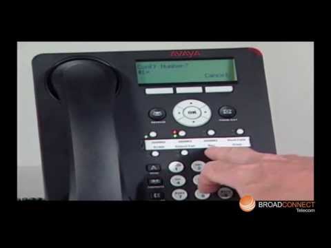 Avaya 1608 Handset Video Overview