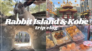 【vlog】広島県のうさぎ島が最高すぎた🐇🌴