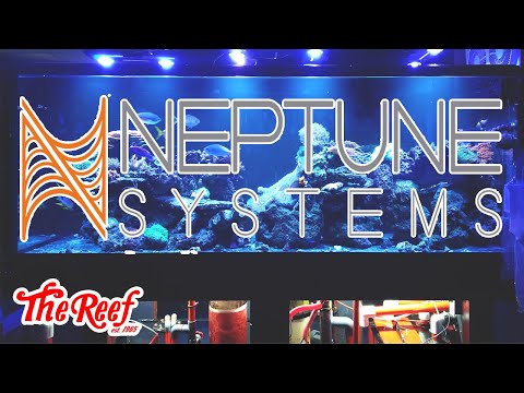 NEPTUNE SYSTEM ON THE 450 GAL REEF DISPLAY |  The  We recently installed a full Neptune System on out 450 gallon reef display! Join Chris as he puts th
