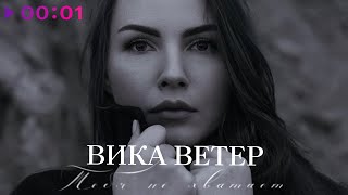 Вика Ветер — Тебя не хватает | Official Audio | 2024