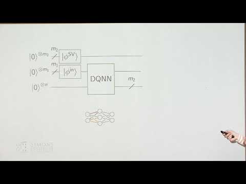 Quantum neural networks