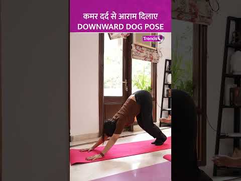 Downward Dog Pose से कमर दर्द से मिलेगा आराम, देखें कैसे करें | Yoga Poses  #shorts #yogashorts