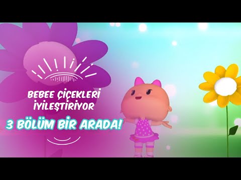 Bebee Çiçekleri İyileştiriyor 🌸👧❤ Leliko ve Pisi İle 3 Bölüm Bir Arada | Düşyeri