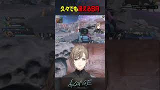 久々APEXでも冴えるSR