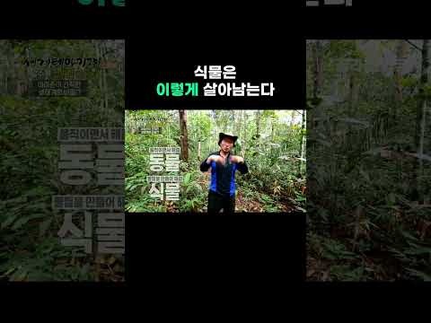 움직일 수 없는 식물의 생존법 #골라듄다큐 #shorts