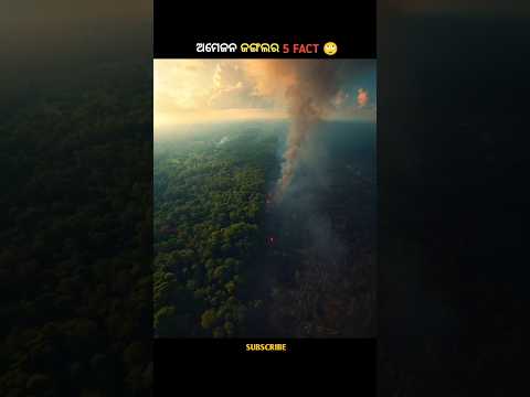 ଅମେଜନ ଜଙ୍ଗଲର ଲୁଚିଥିବା ରହସ୍ୟ | Amazon Jungle Facts in Odia