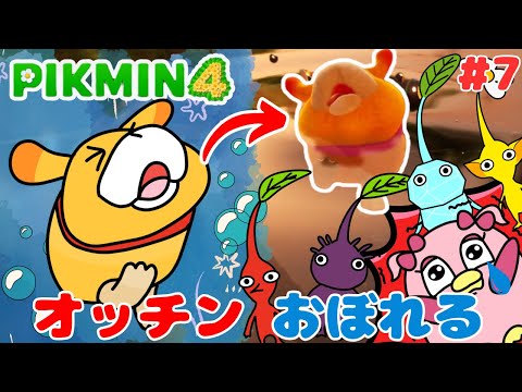 【ピクミン4】#7 ミス！オッチンおぼれさす・・・モスたちを追いかけて