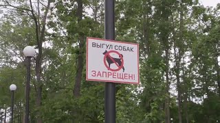 Жителям Артема напоминают, что в парках и скверах запрещен выгул домашних животных