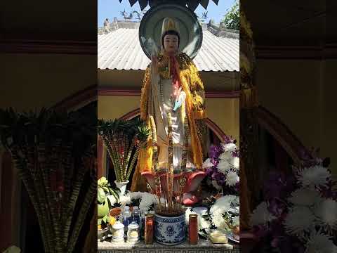 LÒNG NHÂN THẾ ĐỨC TIN CHAN HÒA