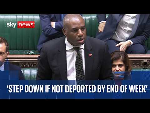 David Lammy faces Commons grilling over wrongly released migrant sex offender