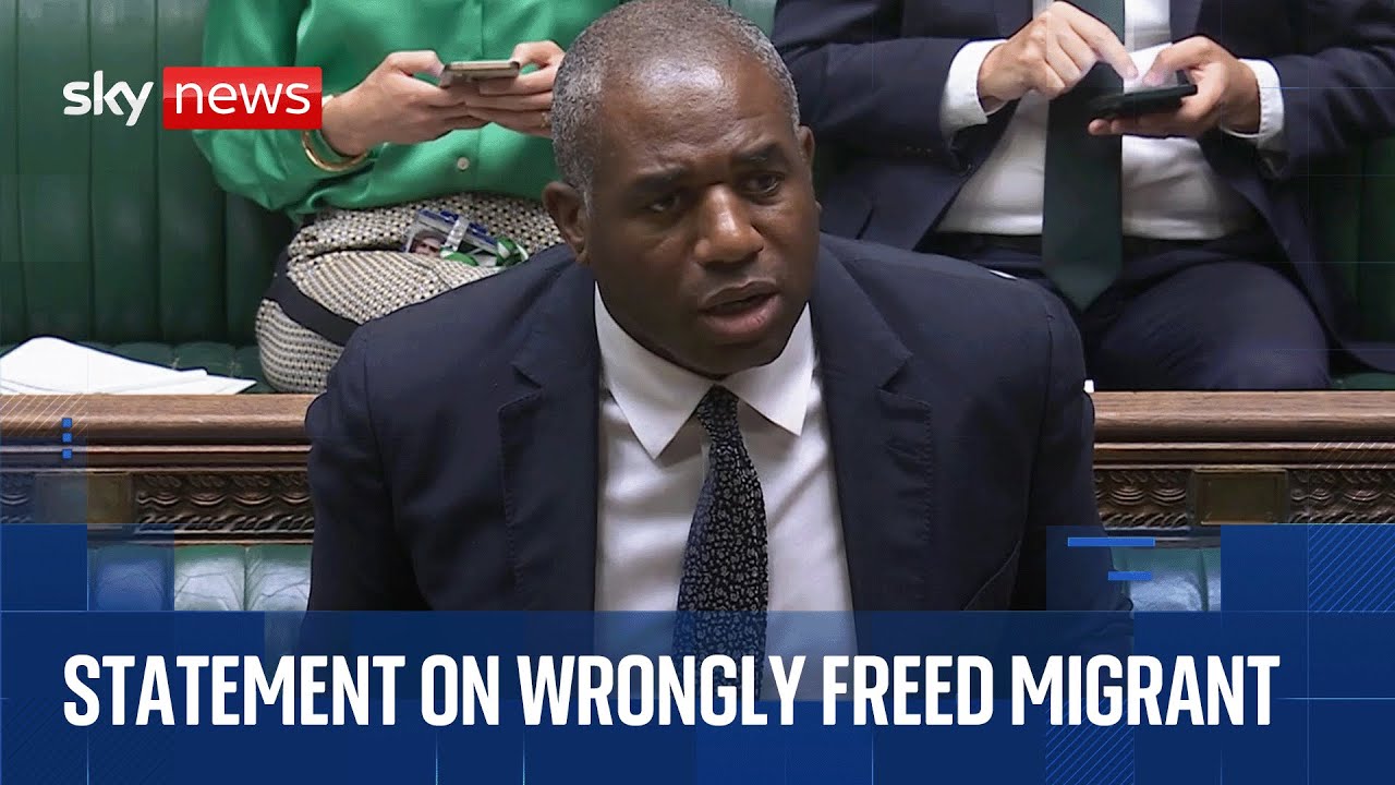 David Lammy faces Commons grilling over wrongly released migrant sex offender